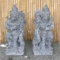 morepic-1